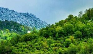 سامانه استعلام زمین منابع طبیعی